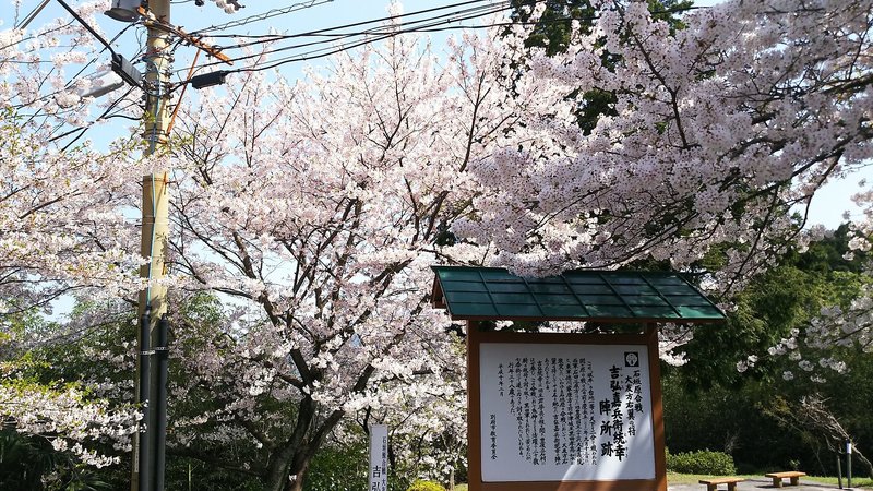 New Matsumi