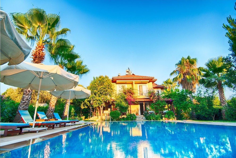 Hotel Alize Hotel