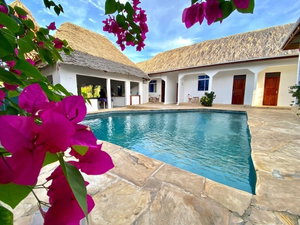 Hotel Dragonfly cazare Jambiani