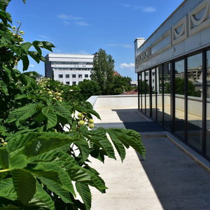 Hotel Embassy Romana cazare Balotesti