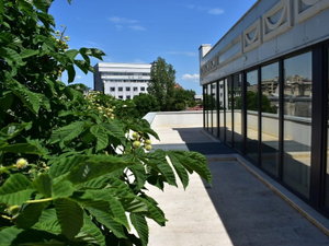 Hotel Embassy Romana cazare Balotesti