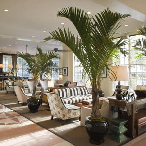 Hotel The Betsy South Beach cazare Miami Beach