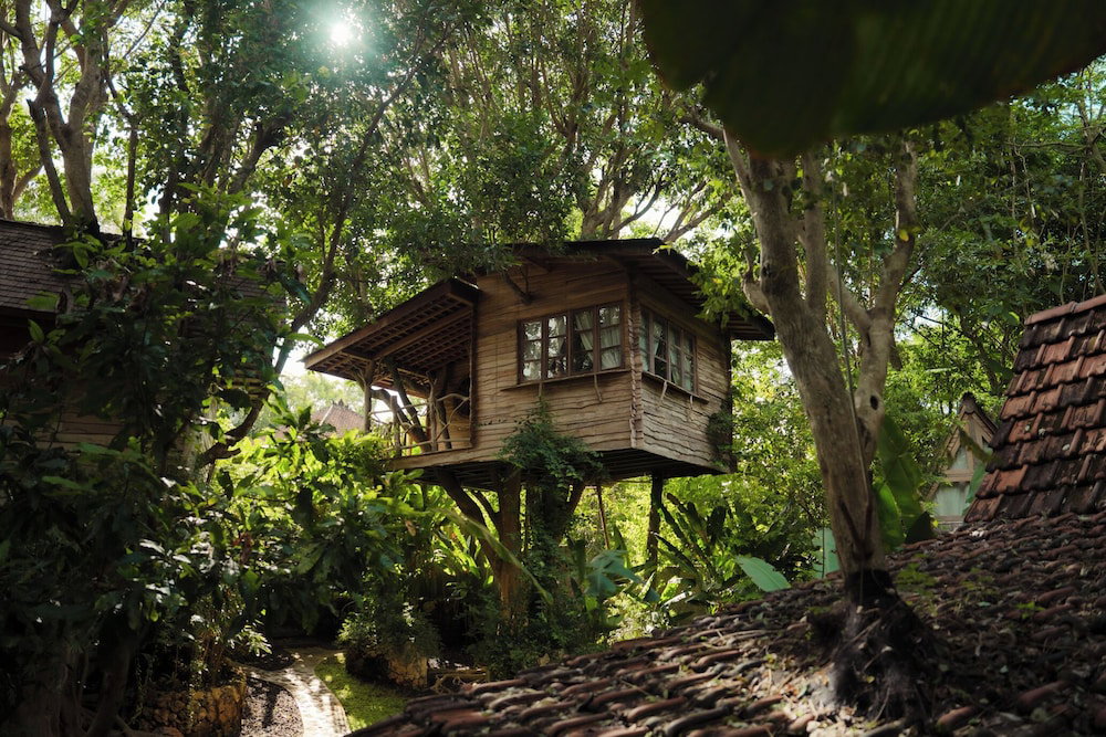 Hotel Roots Tree House