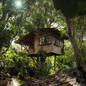 Hotel Roots Tree House cazare Ungasan