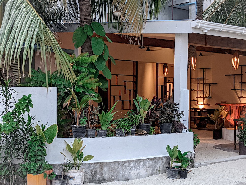 Hotel Dhoadhi Retreat