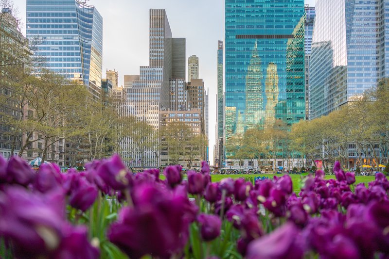 Kimpton Era Midtown New York