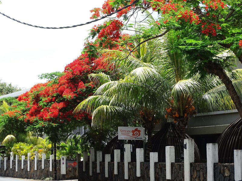 Hotel Nitzana Mauritius