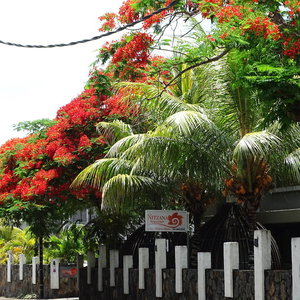Hotel Nitzana Mauritius cazare Cap Malheureux
