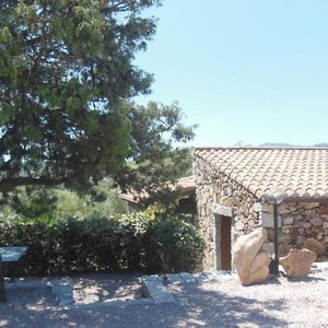 Hotel B&B Pettirosso Garden cazare San Teodoro