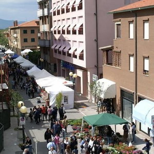 Hotel Residence La Rosa Di Nettuno cazare Marina di Grosseto