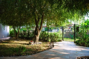 Hotel Pensiunea Porto Franco cazare Sulina