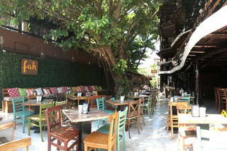 Siesta Fiesta Hotel
