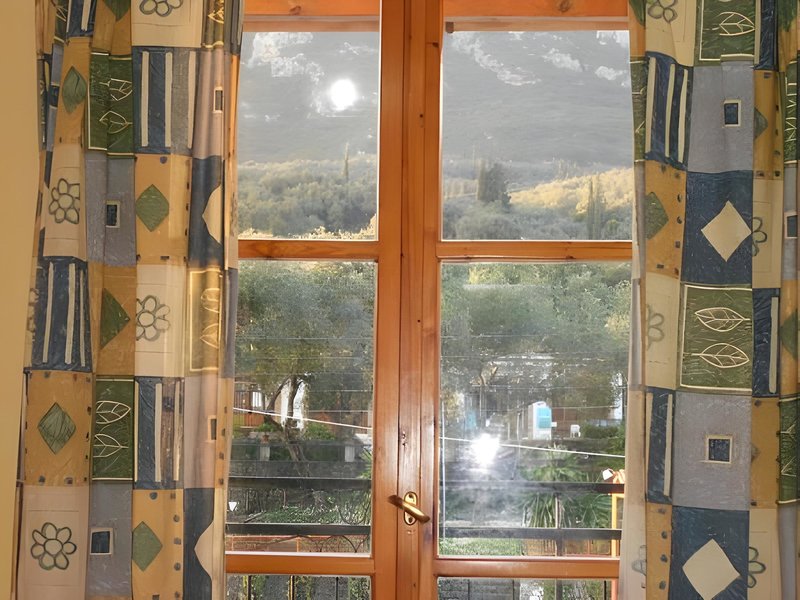 Anemona Studios