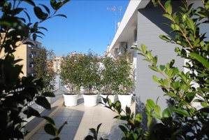 Hotel Gatto Bianco Le Terrazze cazare Bari