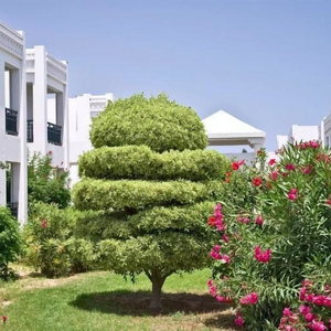 Sejur El Borj Hotel vacanta Mahdia