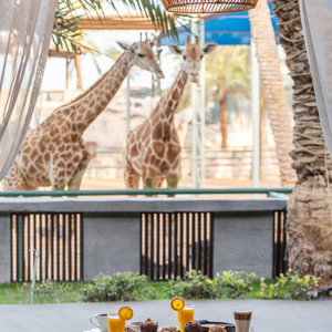 Hotel Emirates Park Resort cazare Yas Island