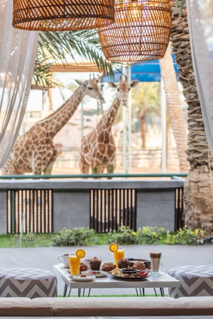 Hotel Emirates Park Resort cazare Yas Island