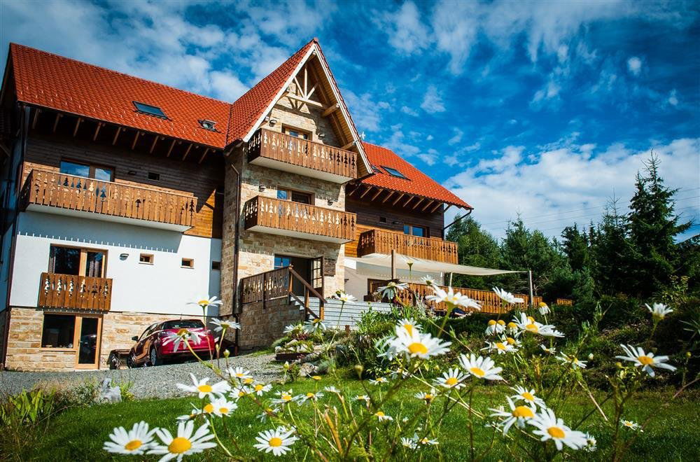 Hotel Pensiunea Colt De Rai