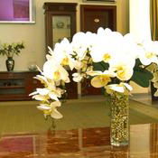 Hotel Platinum Hotel cazare Chisinau