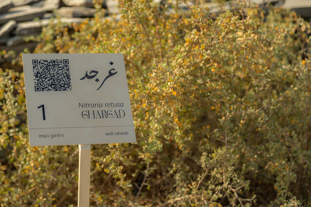 Wadi Sabarah Lodge