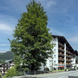 Hotel Q Hotel Maria Theresia cazare Kitzbuehel