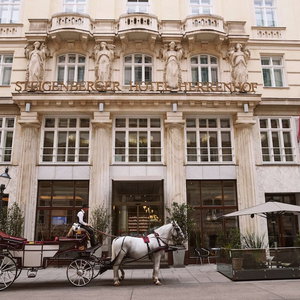 Hotel Steigenberger Hotel Herrenhof cazare Innere Stadt