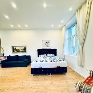 Hotel Comfortable 3Br Stay Kaufpark Area cazare Perchtoldsdorf