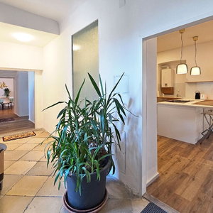 Hotel Red Orange Palm - 200M2 - Stylish, Original, Central cazare Hietzing
