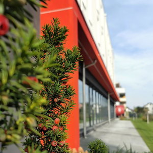Hotel Dormero Jeho Graz Airport cazare Abtissendorf