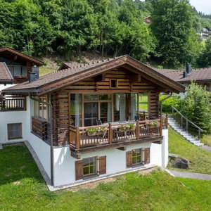 Hotel Pinzgau Ski Chalet Retreat With Balcony cazare Wald im Pinzgau