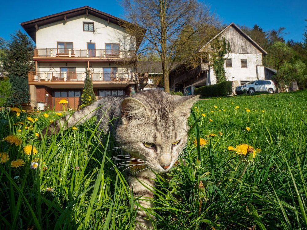 Hotel Bauernhof Waira
