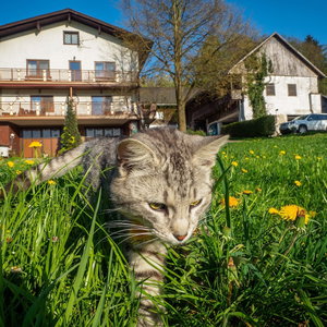 Hotel Bauernhof Waira cazare Ysper