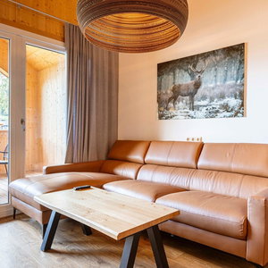 Hotel Spacious Apartment Near Ski Area cazare Sankt Georgen ob Murau