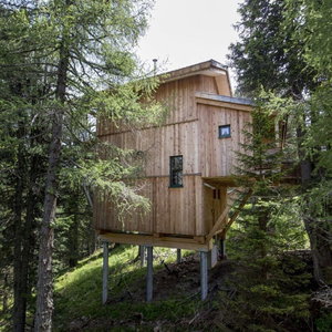 Hotel Cosy Chalet With Infrared Sauna cazare Ramingstein