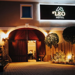 Hotel Hotel Leo cazare Steyr
