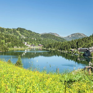 Hotel Apartment In Alps Near Ski Slope cazare Ramingstein