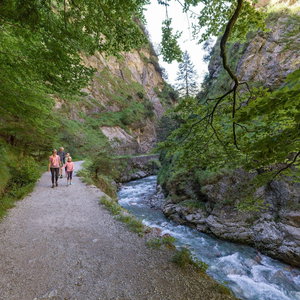 Hotel Vicky Apartment - Central, Mountain Stay cazare Niederau