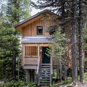 Hotel Lavish Chalet With Finnish Sauna cazare Ramingstein