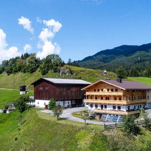Hotel Holiday In Mittersill-Near The Kitzbuhel Alps cazare Mayrhofen