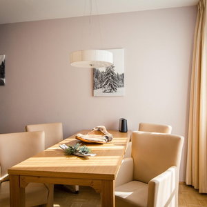 Hotel Apartment In Alps Near Ski Slopes cazare Ramingstein