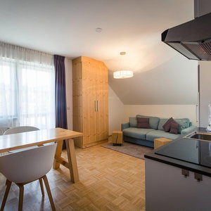 Hotel Apartment In Pine Forest Near Ski Slopes cazare Ramingstein