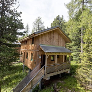 Hotel Amazing Chalet With Infrared Sauna cazare Ramingstein