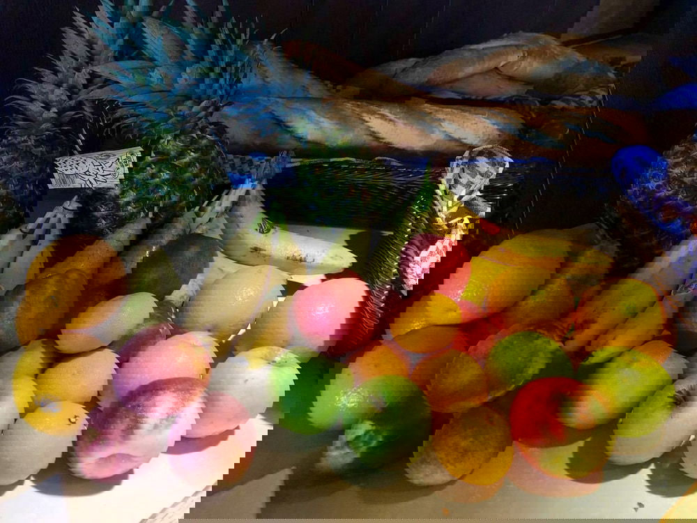 Hotel Riva Hotel The Hague