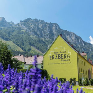 Hotel Erzberg Alpin Resort By Alps Resorts cazare Eisenerz