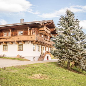 Hotel Rauchenbacher Apartments, Mittersill cazare Mittersill