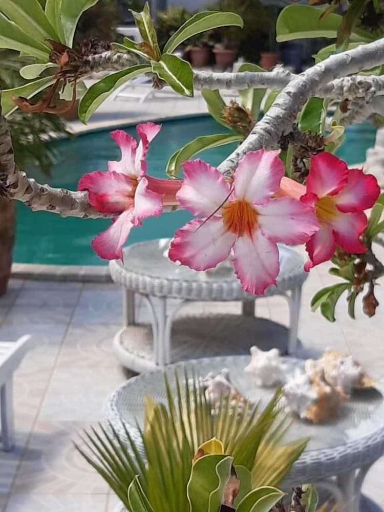 Hotel Chez Lilly