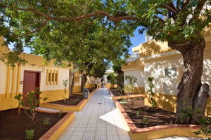 Hotel Checkin Bungalows Atlantida cazare Arona