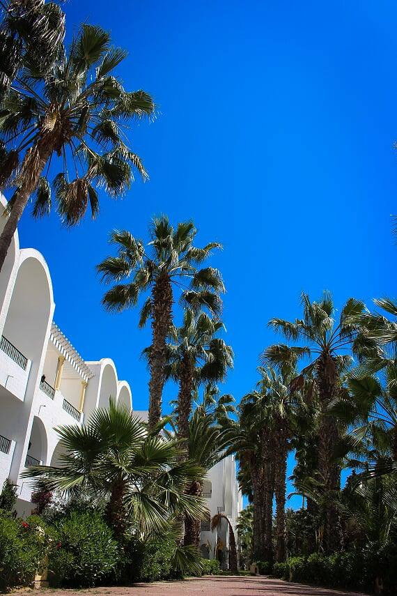 dal travel Nesrine Hotel