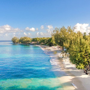 Hotel Coral Reef Club cazare Holetown