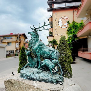 Hotel Ardo Spa Sarnitsa Hotel And Restaurant cazare Sarnitsa
